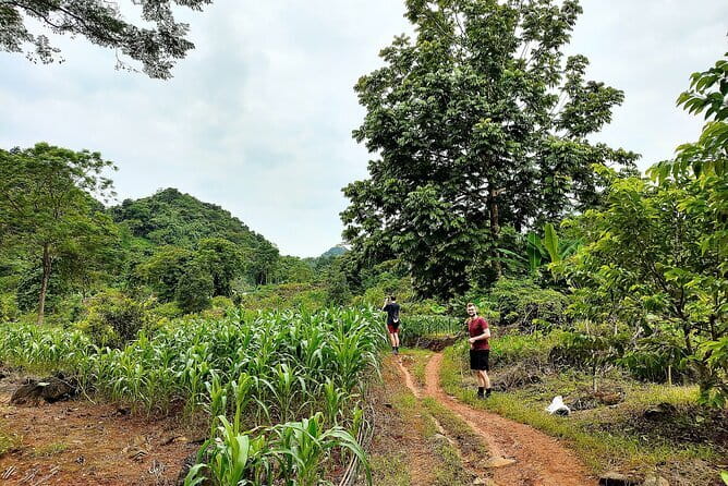 1 Day Ha Giang Loop Tour by Motorbike with Easy Rider - Loopers - Cat Ly Camping and the possible Mien River boat ride