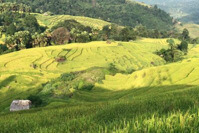 2-Day Motorbike Tour to Mu Cang Chai Loop from Sapa