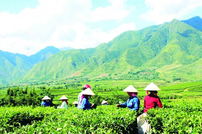 2-Day Motorbike Tour to Mu Cang Chai Loop from Sapa - Arriving in Mù Cang Chải and Mâm Xôi Hill