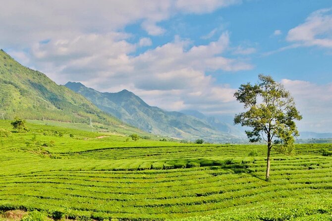 2-Day Motorbike Tour to Mu Cang Chai Loop from Sapa - La Pán Tẩn and the story told by the terraces