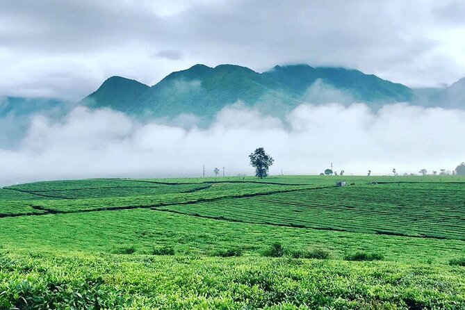 2-Day Motorbike Tour to Mu Cang Chai Loop from Sapa - Dinosaur Ridge gives the route its final high point