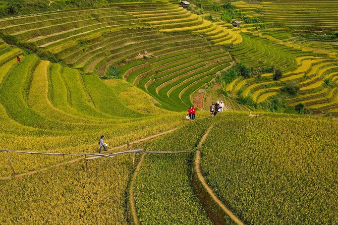2-Day Motorbike Tour to Mu Cang Chai Loop from Sapa - What the $169 price includes