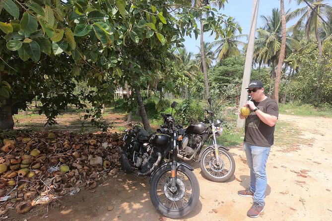 2 Day Royal Enfield Motorcycle tour from Chennai to Pondicherry & Mahabalipuram - Day two: Auroville before the ancient stones