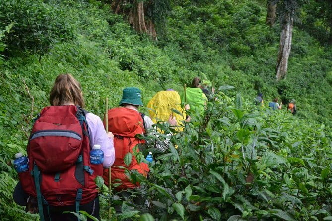 3 Day Motorcycle Tour (Mae Hong Son Loop) from Chiang Mai, Thailand - Day three: Pai and the ride back to Chiang Mai