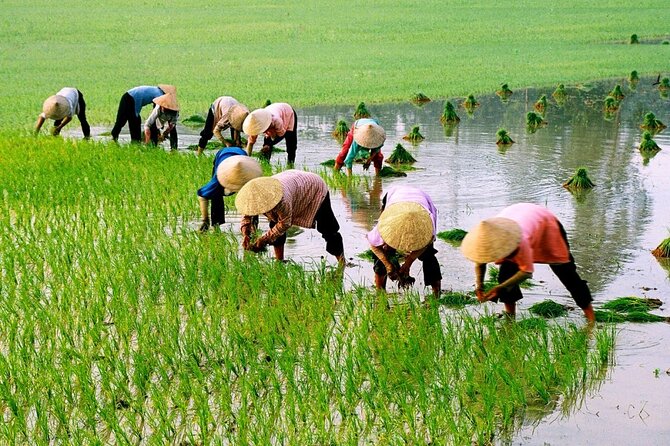 3 Hours Hoi An Countryside Motorbike Tour - Why three hours is enough to see a different Hoi An