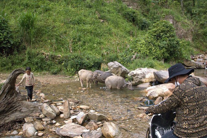 3D2N- Rice Terraces Treks & Easy rider from Sa Pa - Day 3: A six-hour walk beside Nam Kim Stream