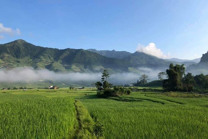 3D2N- Rice Terraces Treks & Easy rider from Sa Pa - Is $311 good value?