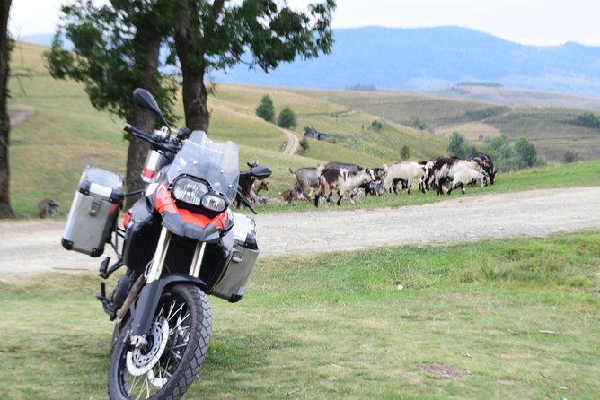 7 Day Best of Transylvania Motorcycle Tour from Cluj - Day 6: Poienari, Curtea de Arges, and Romania’s highest road