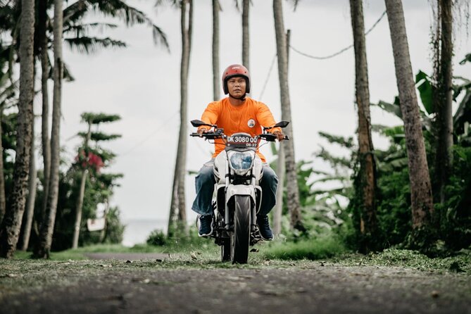 Canggu Motorbike Lessons - Clutch, Gears, and the Skills That Matter