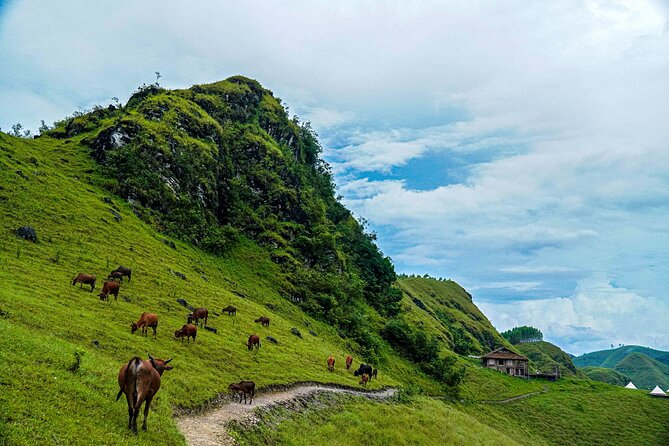 Cao Bang Loop 3 Days Easy Rider with The Loop Tours - Day three: Nguom Ngao Cave and Ban Gioc Waterfall