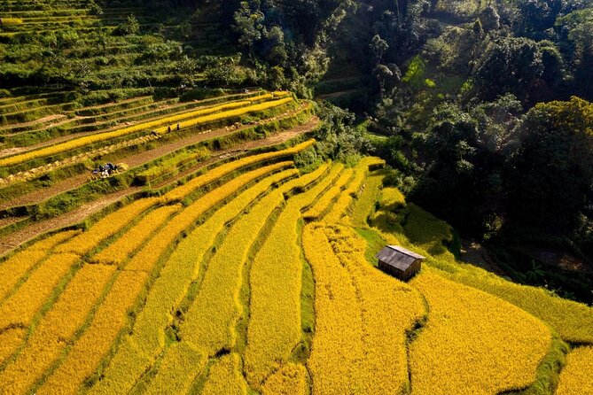 Cao Bang Loop Tour 3D2N by Motorbike, Car or Jeep - Day 1: Hanoi to Pac Bo and Cao Bang