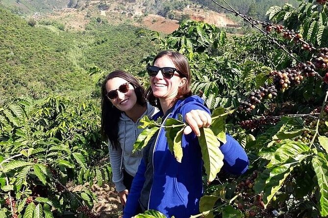 Da Lat Loop Tour On Motorbike - Private Tour - Linh An Pagoda and Elephant Waterfall