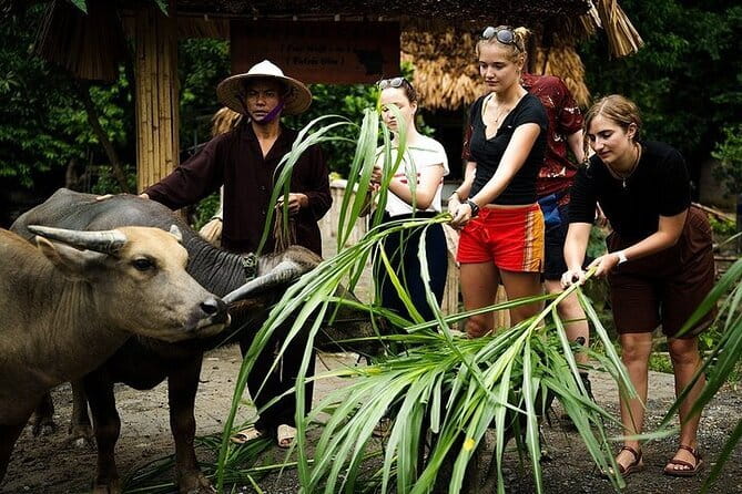 Discover Ninh Binh’s Highlights Hidden Gems 1 Day Motorbike Tour - Key points at a glance