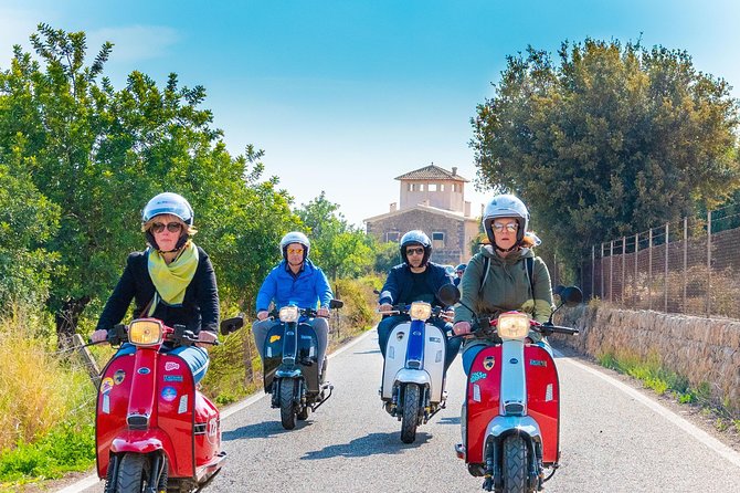 Easy Rider Mallorca Scooter Tour - Scooter choices, licenses, and physical demands