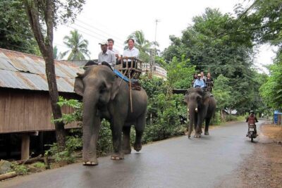 Easy Riders Buon Ma Thuot – Daily Tour.