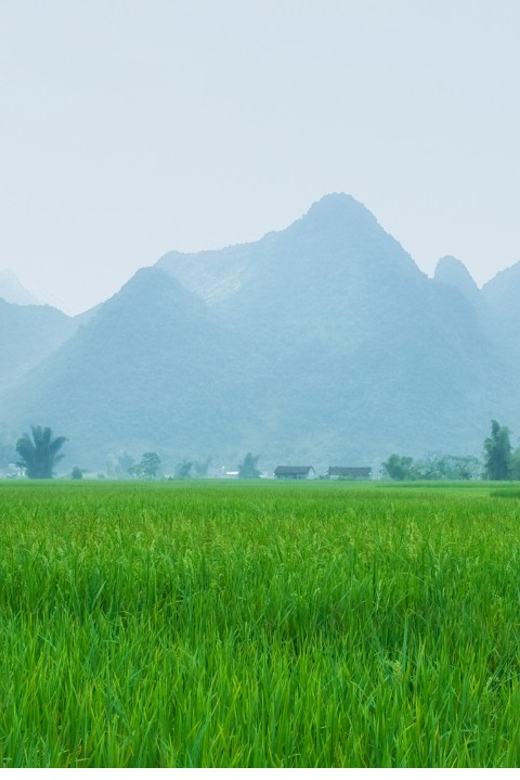 From Hanoi: Easy Rider 2 Day Motorbike Tour of Cao Bang Loop - Day two: Nguom Ngao Cave and Ban Gioc Waterfall