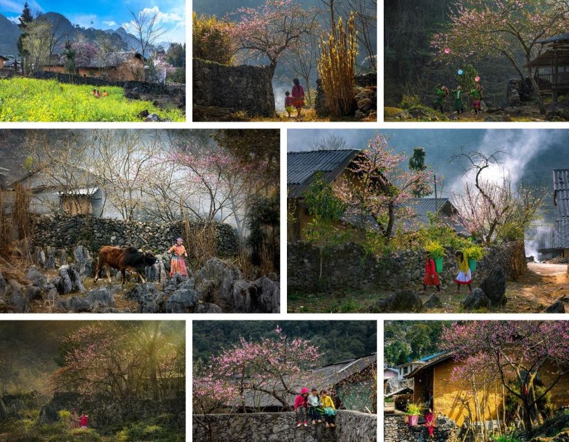 From Hanoi: Ha Giang Loop 4 days 4 nights with easy rider - Day 4: Lung Khuy Cave and the return to Ha Giang