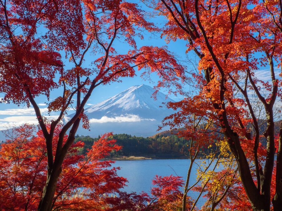 From Tokyo: Private Motorcycle Tour - Fuji, Hakone, Onsen - What $548 represents in real value