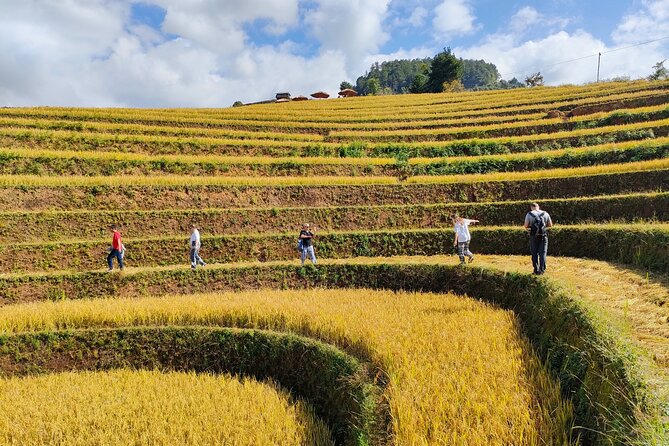 Full day motorbike Mu Cang Chai - 8:00 am pickup and the first ride
