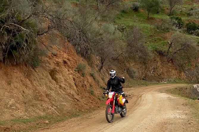 Full-Day Motorbike OFF ROAD Tour around Málaga - Montes de Málaga: forest tracks close to the city