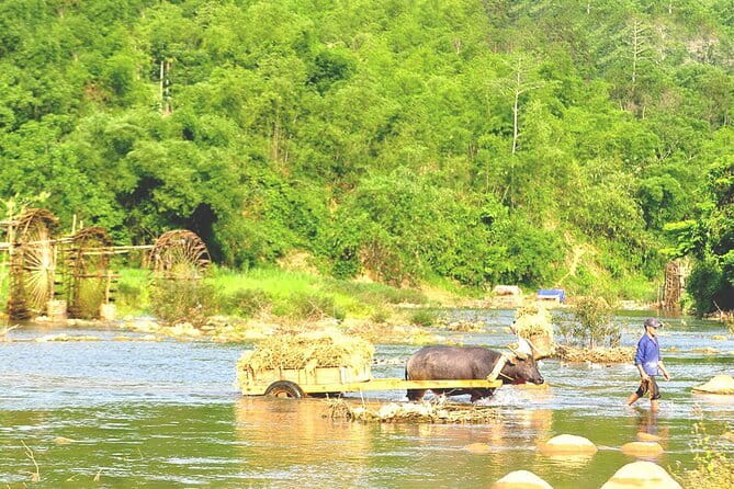 Ha Giang Loop Motorbike Tour 3 Days from Hanoi Private Room - Who Should Book This Ha Giang Loop?