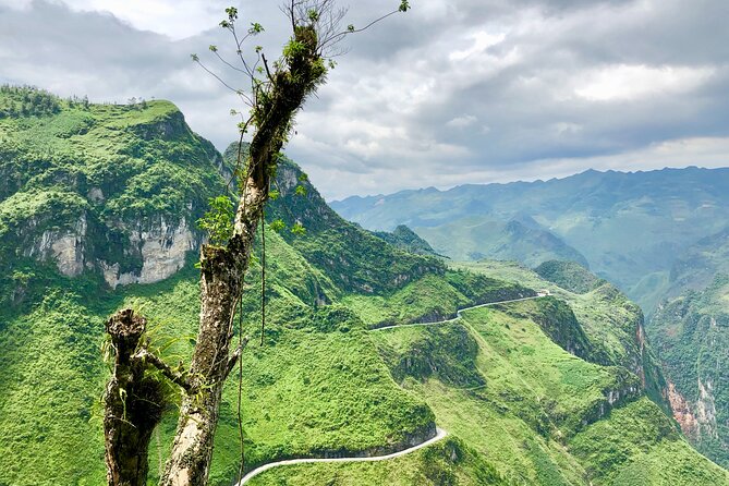 Ha Giang Motorbike Tour 4 days 3 nights - Day 4: Lung Tam weaving and the return to Ha Giang