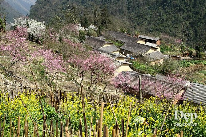 Hagiang Loops Easy Rider 3D2N: (Join in Small Group-Private Room) - Homestays, meals, and local contact
