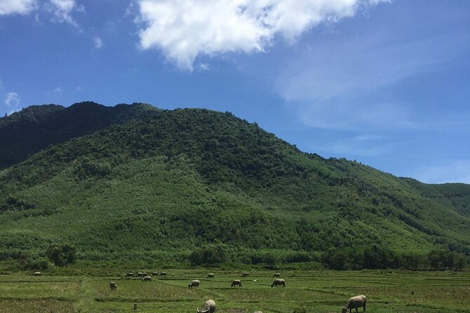 HAI VAN PASS MOTORBIKE TOUR - Top Gear Experience - Tam Giang Lagoon and the first countryside ride