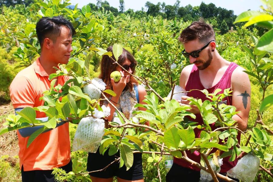 Hanoi Adventure Tour by Motorbike - Who will enjoy this Hanoi tour most
