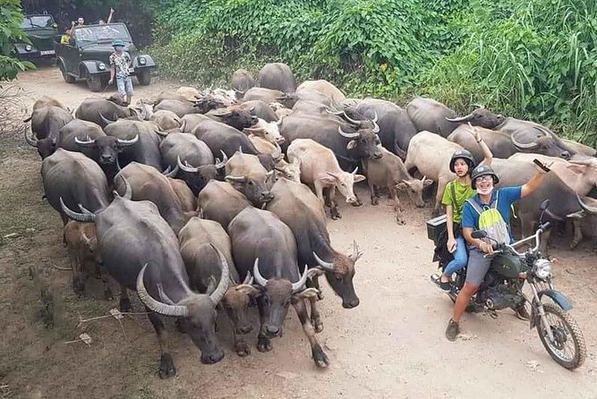 Hanoi Countryside Motorbike Tour: Red River Culture & Daily Life - Key points at a glance