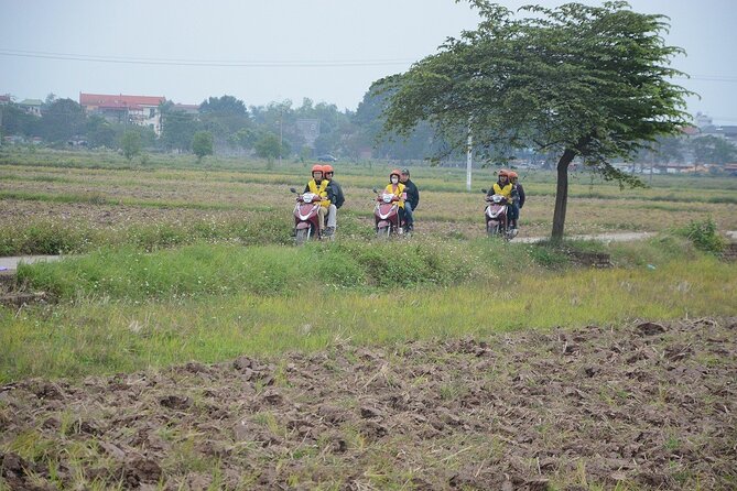 Hanoi Countryside Motorbike Tours Led By Women - Tea, peanut candy, and a 200-year-old house