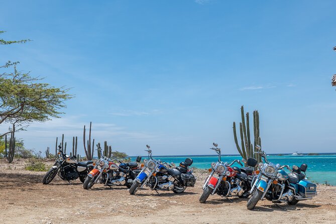 Harley-Davidson RENTALS ONLY 4 hrs - Key points to know before you book