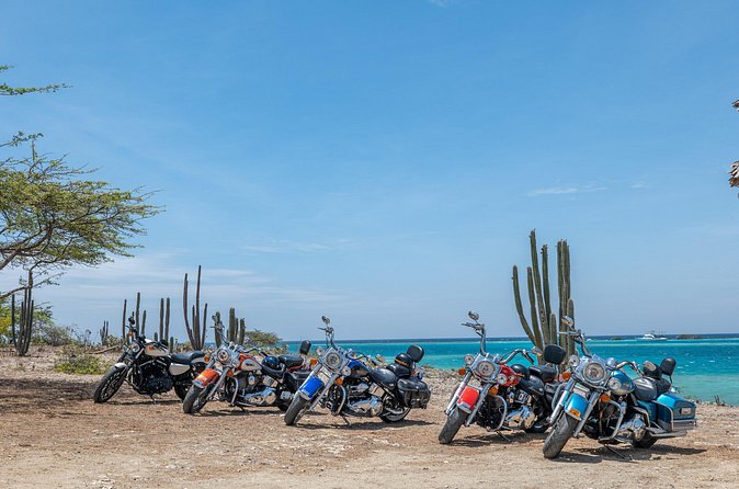 Harley-Davidson RENTALS ONLY 4 hrs - Riding toward Arikok National Park