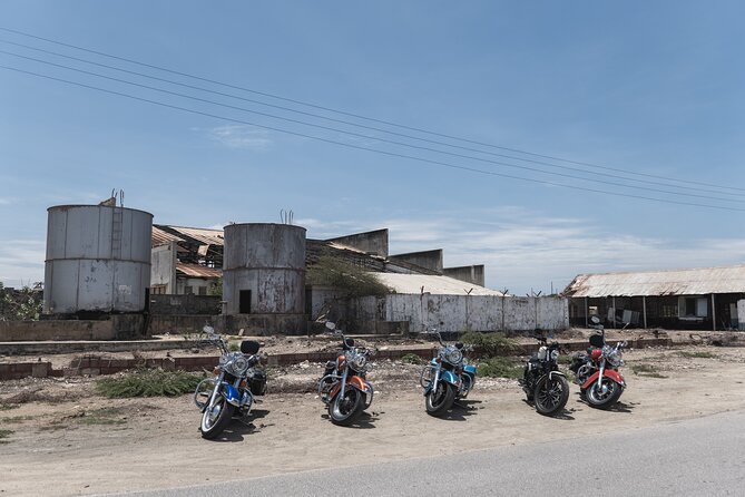 Harley-Davidson RENTALS ONLY 8 hrs - Riding in Aruba’s sun and wind
