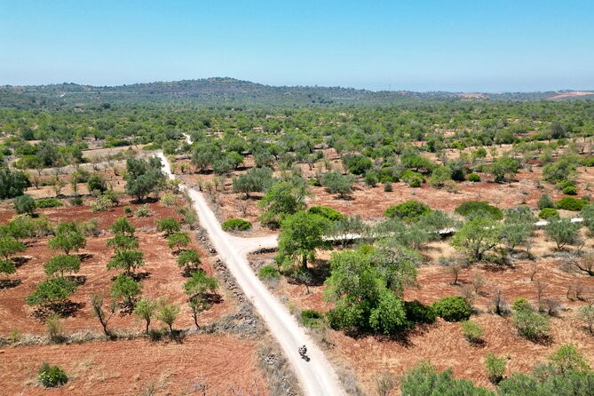 Hills & Thrills: 4 Hr Fonte da Benémola Electric Motorbike Tour - Key points before you book