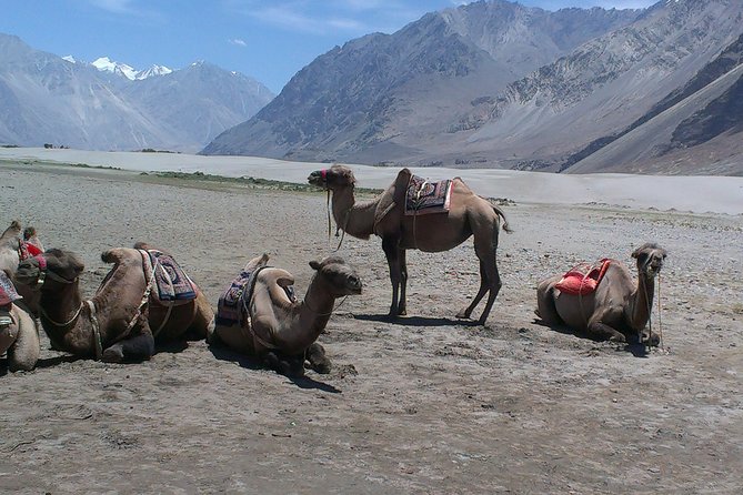 Himalayas Motorcycle Escapades - Why this Manali to Srinagar route is special