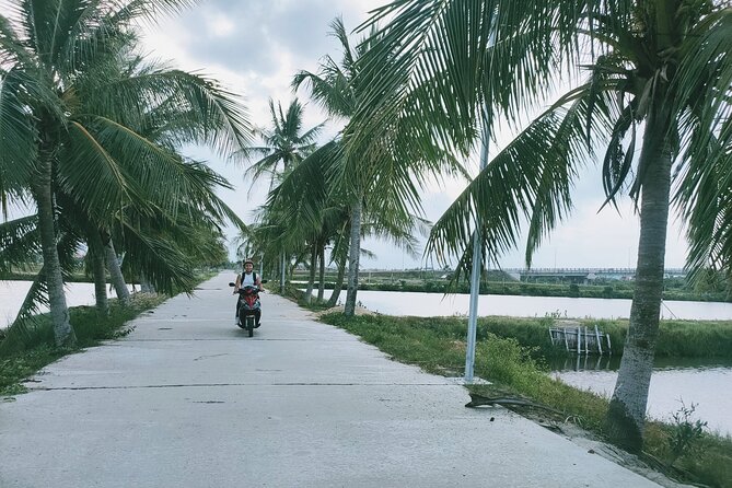 Hoi An Countryside Discovery Tour By Motorbike - Local food - Making rice paper from a local tradition
