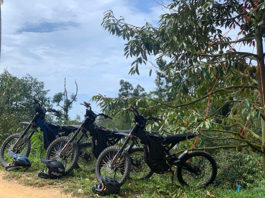 Koh Samui : Electric Motorbike trip in mountain - Three hours with Thai lunch and a long view