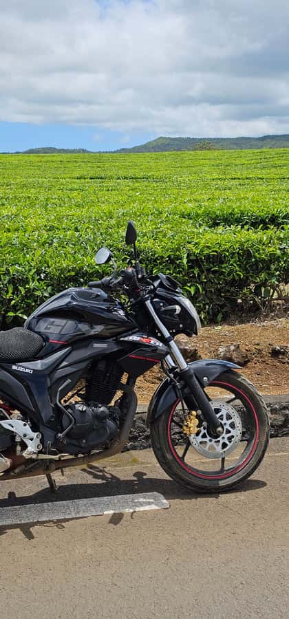 Mauritius: On-road Motorcycle Full Day Trip - Is $194 good value for one person?
