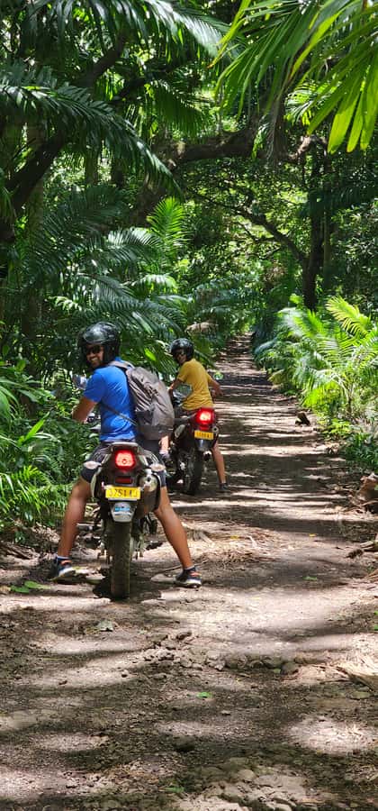 Mauritius: On-road Motorcycle Full Day Trip - Who should book this ride?