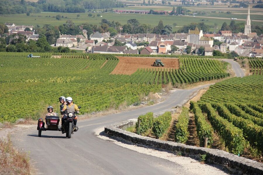 Meursault: Tour of the Vineyards on Motorbike with Sidecar - Who should book this ride?