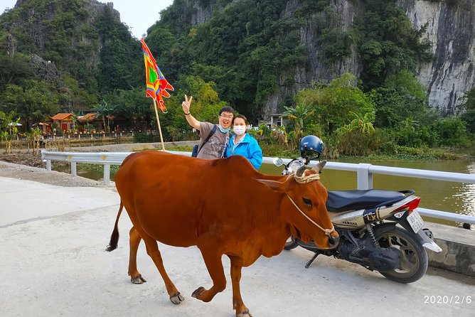 Motorbike Rental Ninh Binh - Who should book this rental?