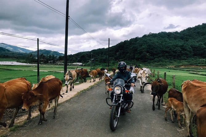 Motorbike tour from Dalat to Muine 2 days trip - Why this Da Lat to Mui Ne ride feels different
