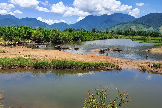Motorbike Tour From Hue to Danang or Hoi An via Hai Van Pass - Suoi Mo Waterfall: the day’s best chance to swim