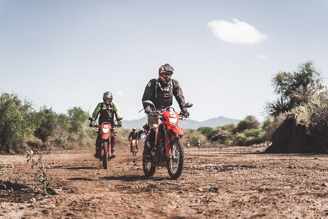 Motorcycle Safari - Who will enjoy this ride most