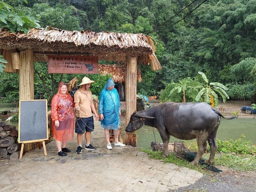 Ninh Binh : Countryside Tour by Motorcycle - Buffalow Riding - What $51 covers, and what it does not