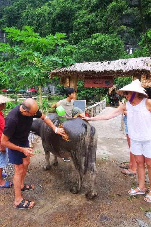 Ninh Binh : Countryside Tour by Motorcycle - Buffalow Riding - A farm day instead of another sightseeing circuit