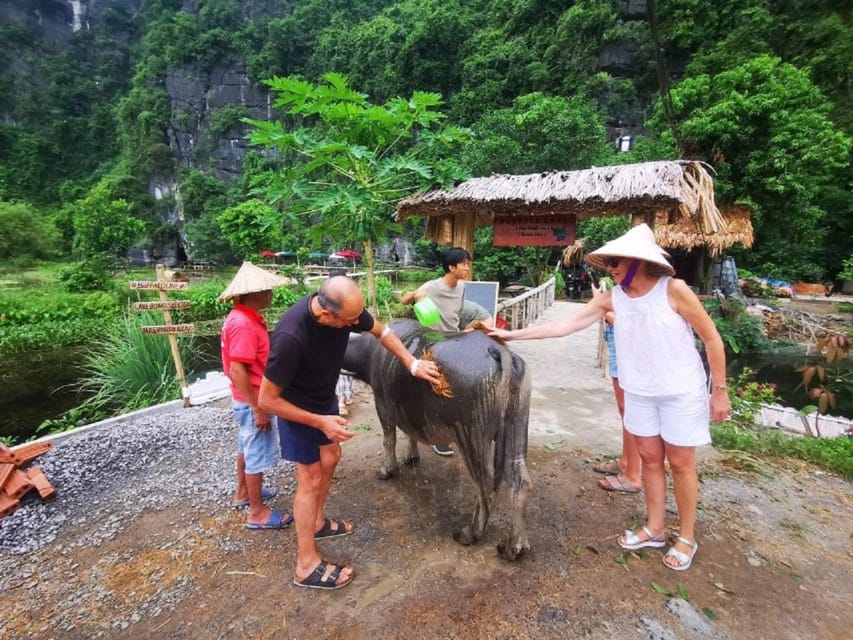 Ninh Binh : Countryside Tour by Motorcycle - Buffalow Riding - Thai Vi Temple and the Tran dynasty