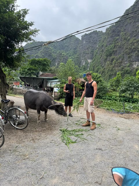 Ninh Binh Motorbike Tour - Should you book the Ninh Binh Motorbike Tour?