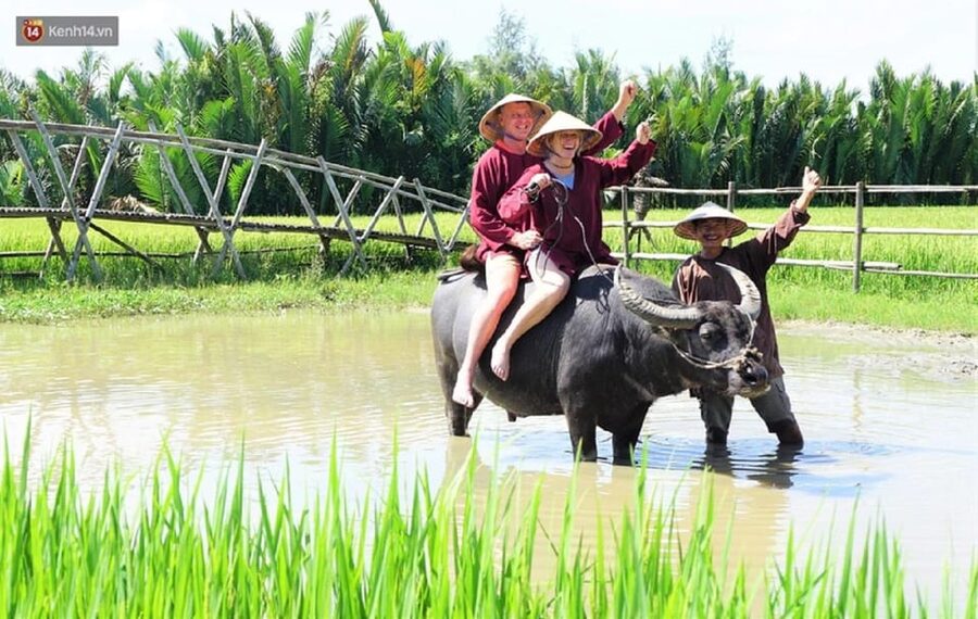 Ninh Binh Motorbike Tour - Cooking lunch, then getting your hands dirty